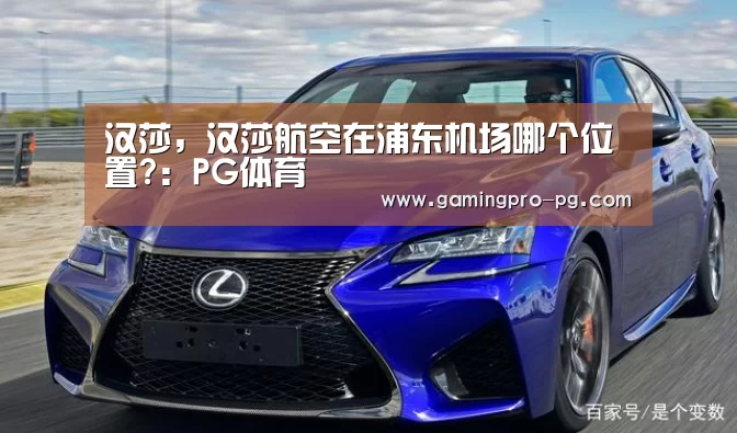 汉莎,汉莎航空在浦东机场哪个位置?:PG体育(图3) PG电竞直播