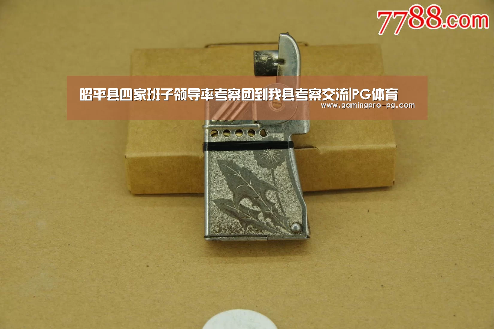 昭平县四家班子领导率考察团到我县考察交流|PG体育(图1) PG电竞APP