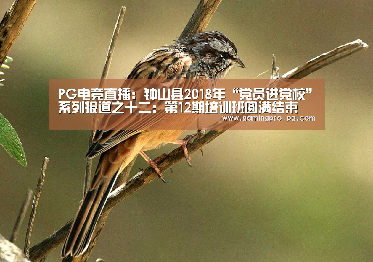 PG电竞直播:钟山县2018年“党员进党校”系列报道之十二:第12期培训班圆满结束(图1) PG电竞直播