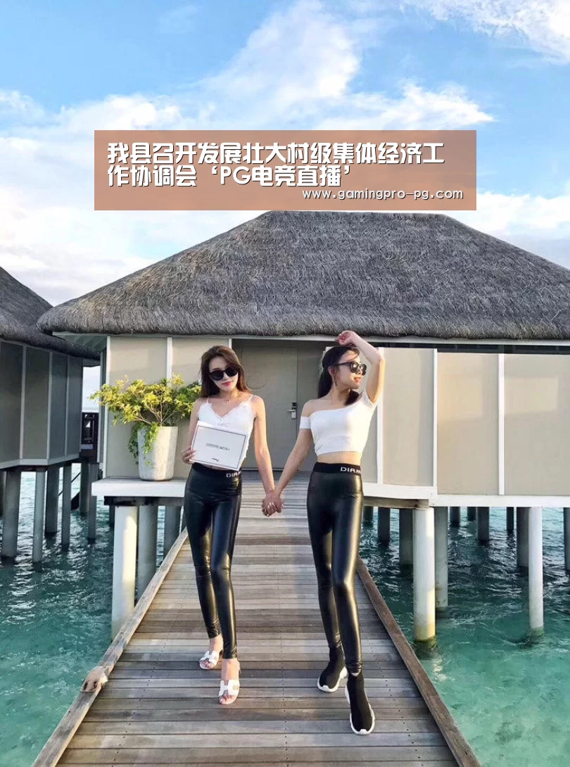 我县召开发展壮大村级集体经济工作协调会‘PG电竞直播’(图2) PG体育