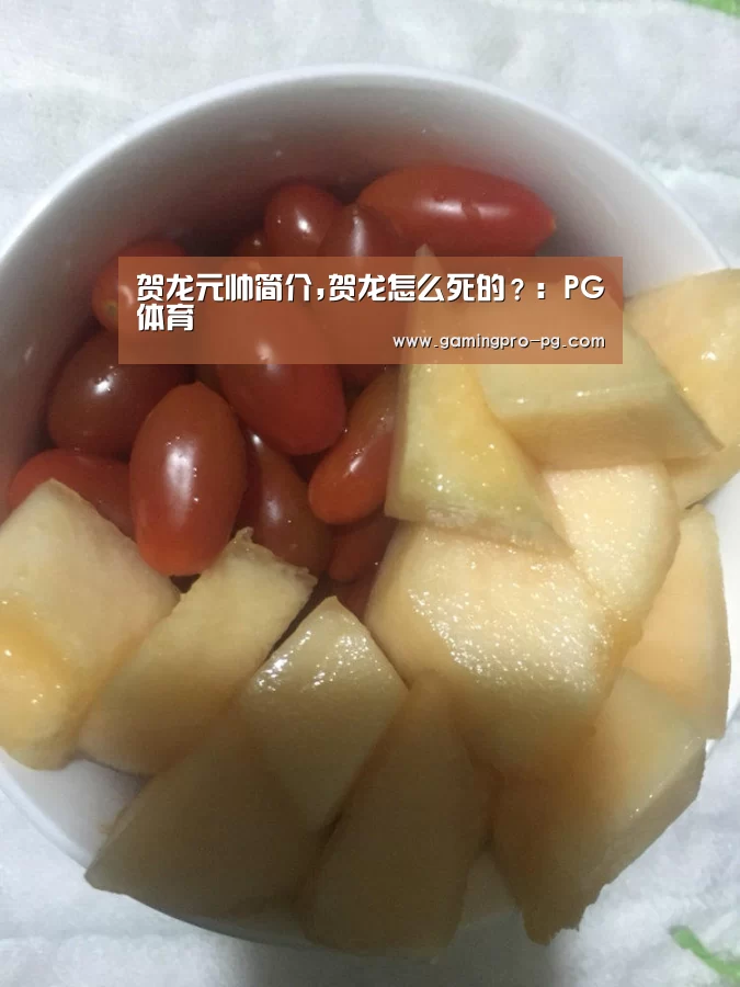 贺龙元帅简介,贺龙怎么死的?:PG体育(图1) PG电竞APP