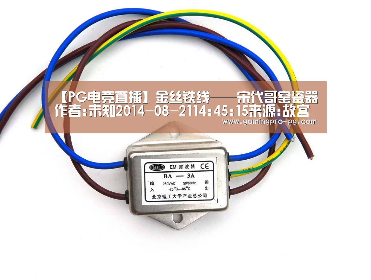 PG官网