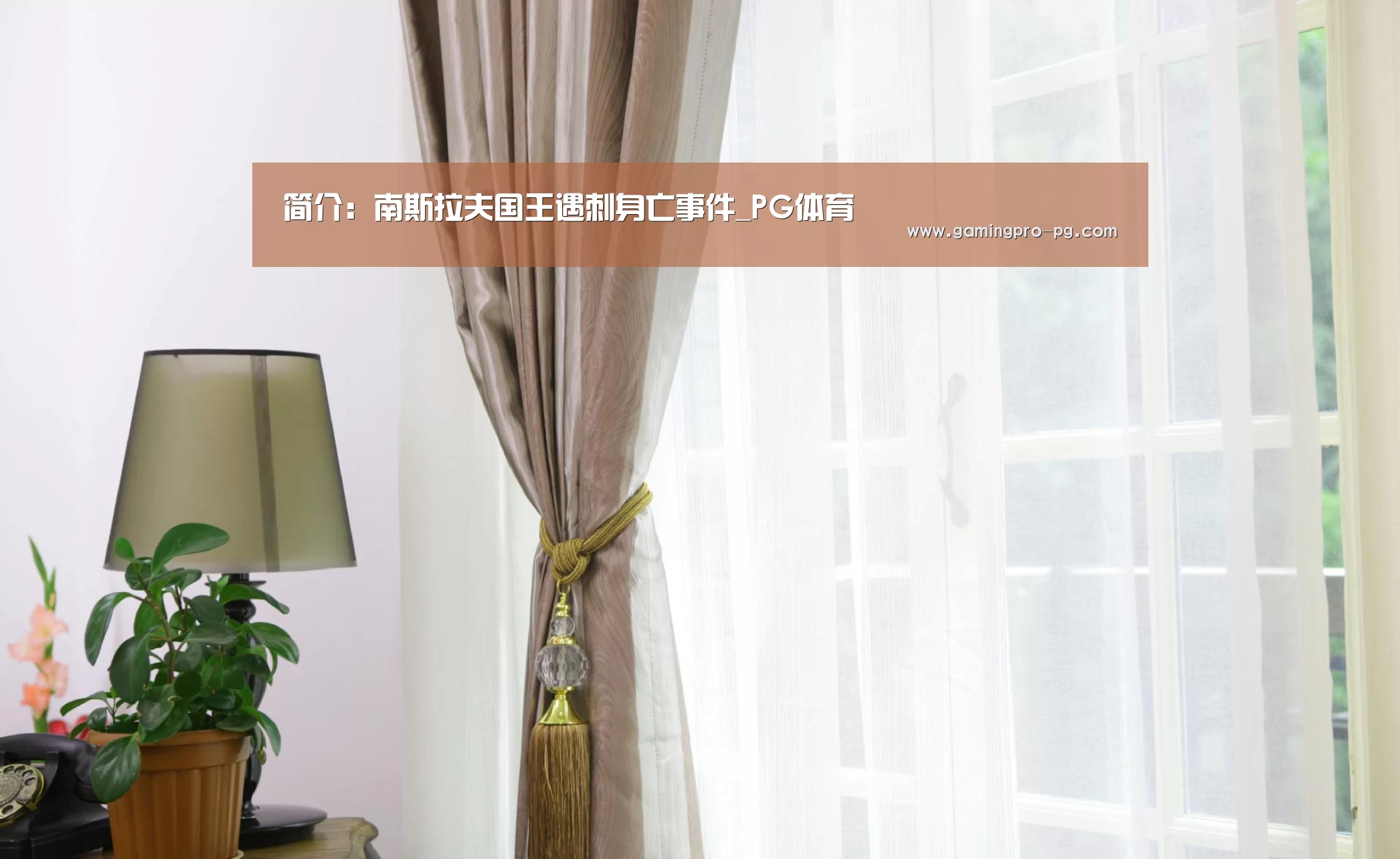 简介:南斯拉夫国王遇刺身亡事件_PG体育(图3) PG官网