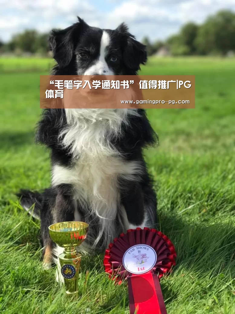 
	<h1>“毛笔字入学通知书”值得推广