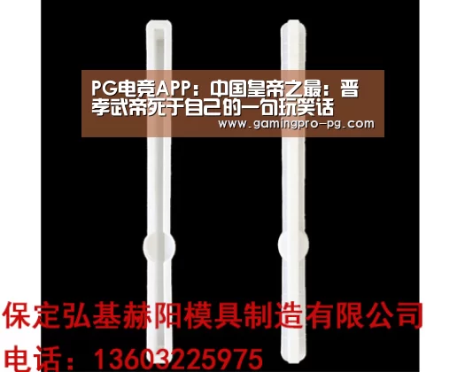 PG电竞APP:中国皇帝之最:晋孝武帝死于自己的一句玩笑话(图2) PG电竞APP