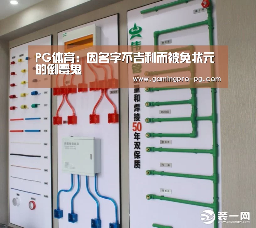 PG电竞直播