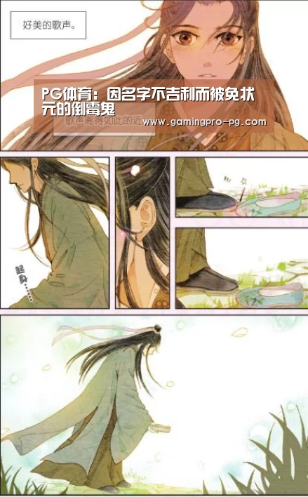 PG官网