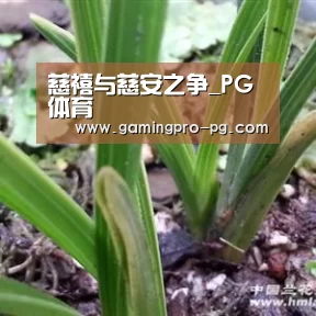 慈禧与慈安之争_PG体育(图2) PG电竞APP